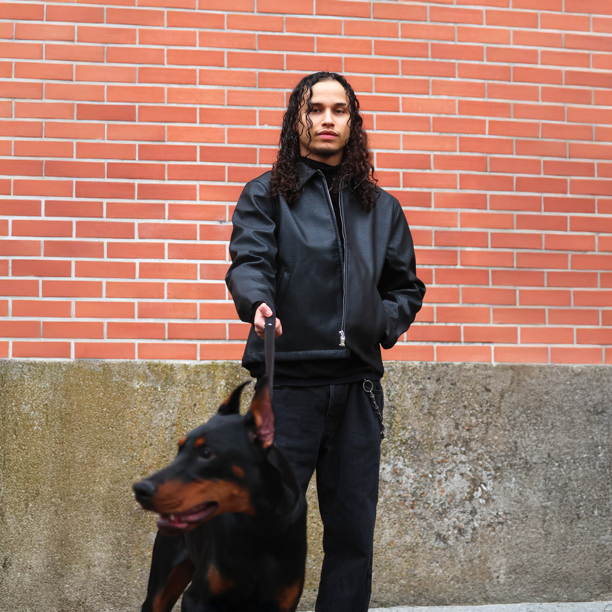 BLACK SNAKE JACKET